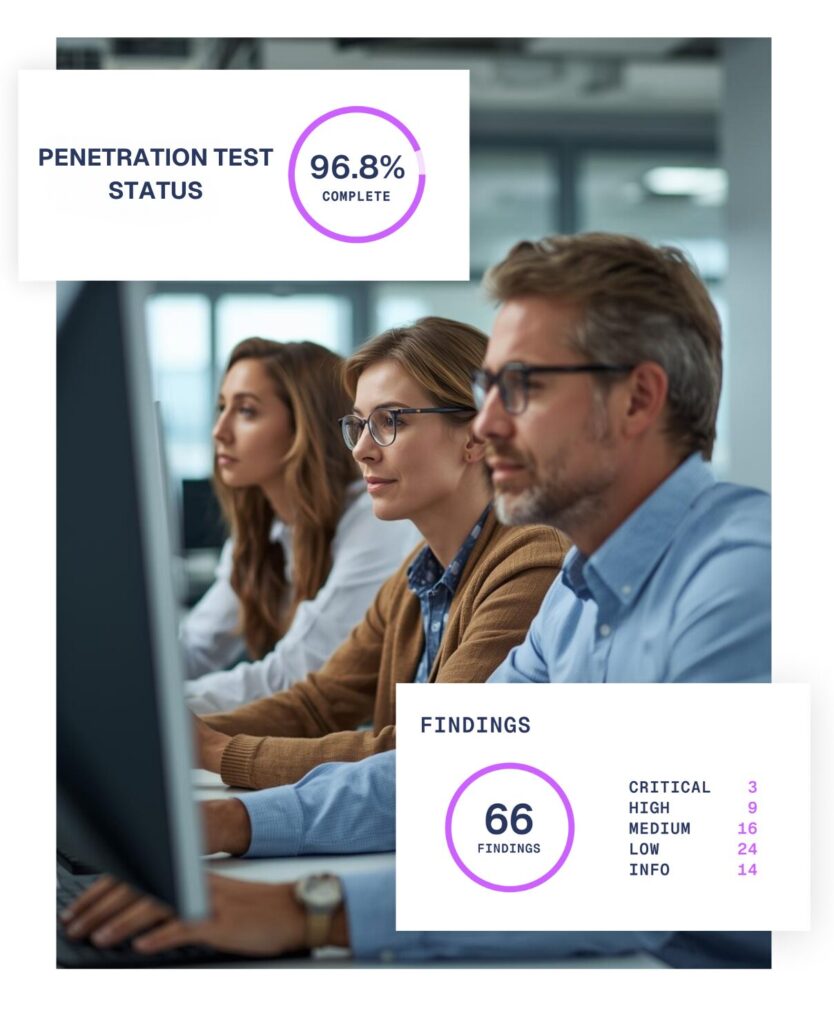 Web application penetration testing